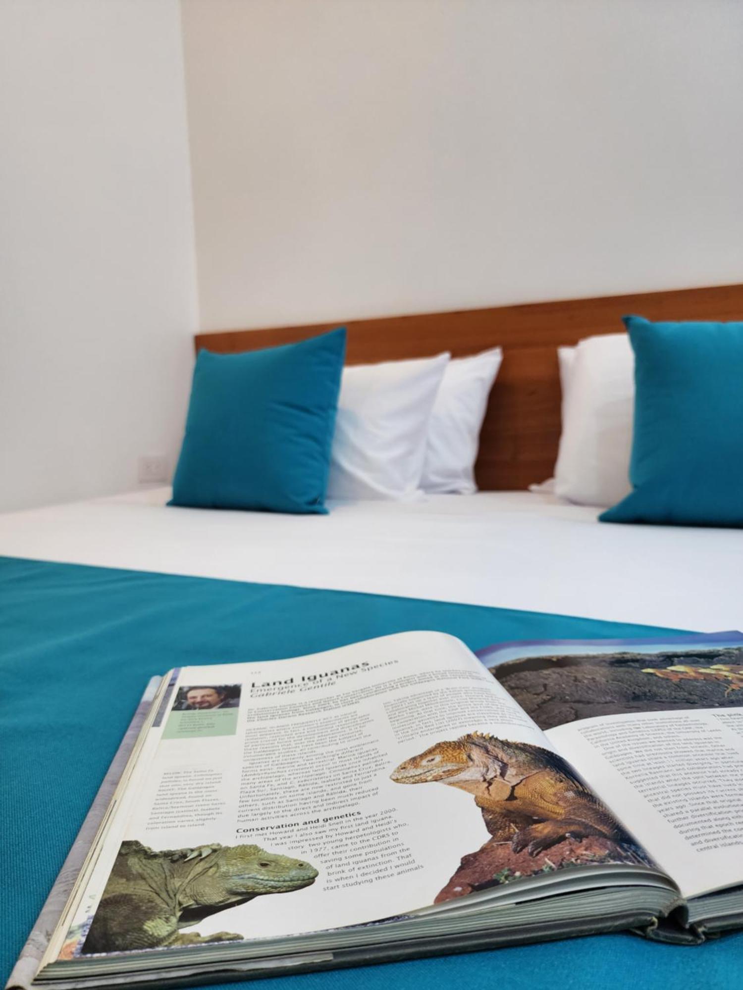 Casa Galapagos By Hostal Fragata Puerto Ayora  Eksteriør bilde